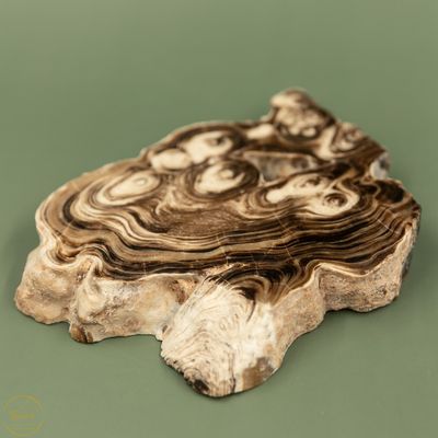 Chocolade bruine Aragoniet A+ kwaliteit- 620 gram