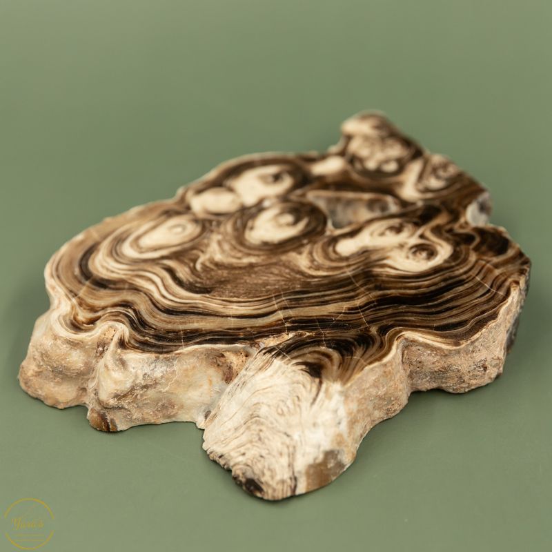 Chocolade bruine Aragoniet A+ kwaliteit- 620 gram