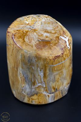 Versteend Hout Sculptuur - 4.3kg
