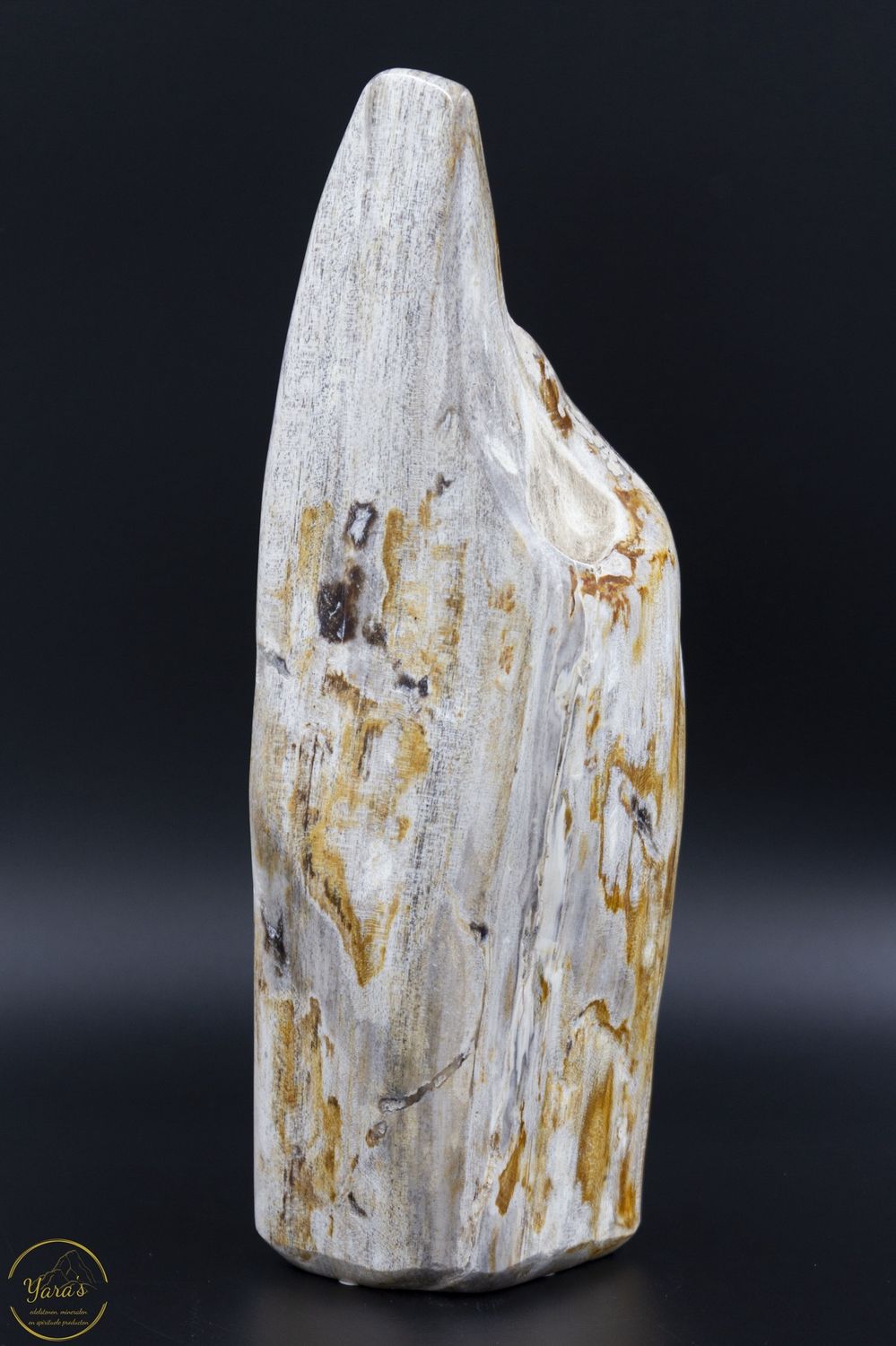 Versteend hout sculptuur volledig gepolijst - 1.96 kg