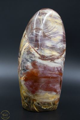Versteend hout sculptuur - 2.18kg