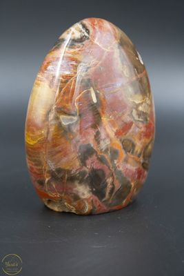 Versteend hout sculptuur- 748 gram
