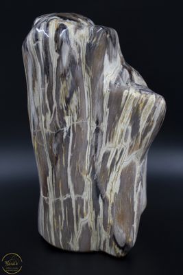 Versteend Hout Sculptuur 5.672kg