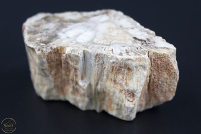 Versteend Hout Stronkje 96 gram