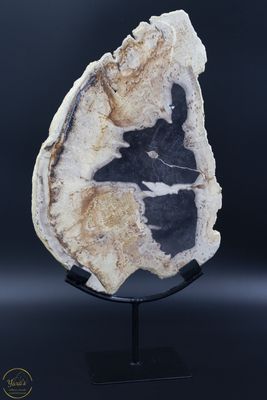 Versteend Hout Schijf op Standaard - 1.95 kg