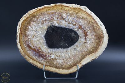 Versteend hout schijf - 1.49 kg