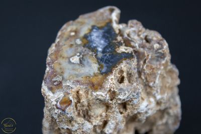Versteend Hout Stronkje 134 gram