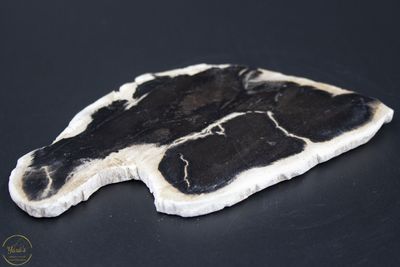 Versteend hout schijf 76 gram