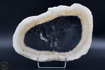 Versteend hout schijf - 1.70 kg