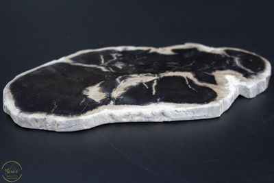 Versteend hout schijf 123g