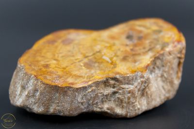 Versteend Hout Stronkje 114 gram