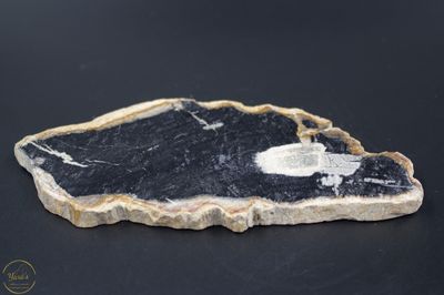 Versteend hout schijf 162 gram