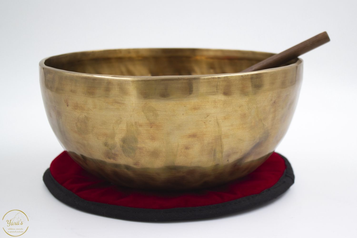 Hartschaal Bengali  24 cm