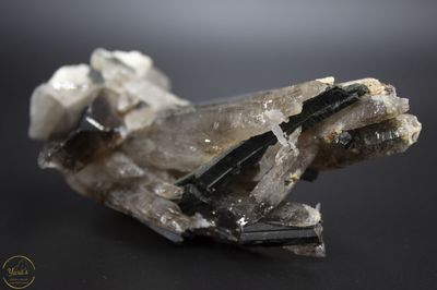 Rookkwarts. Microklien en Aegirien - Zomba Malosa mix - 105gram A+