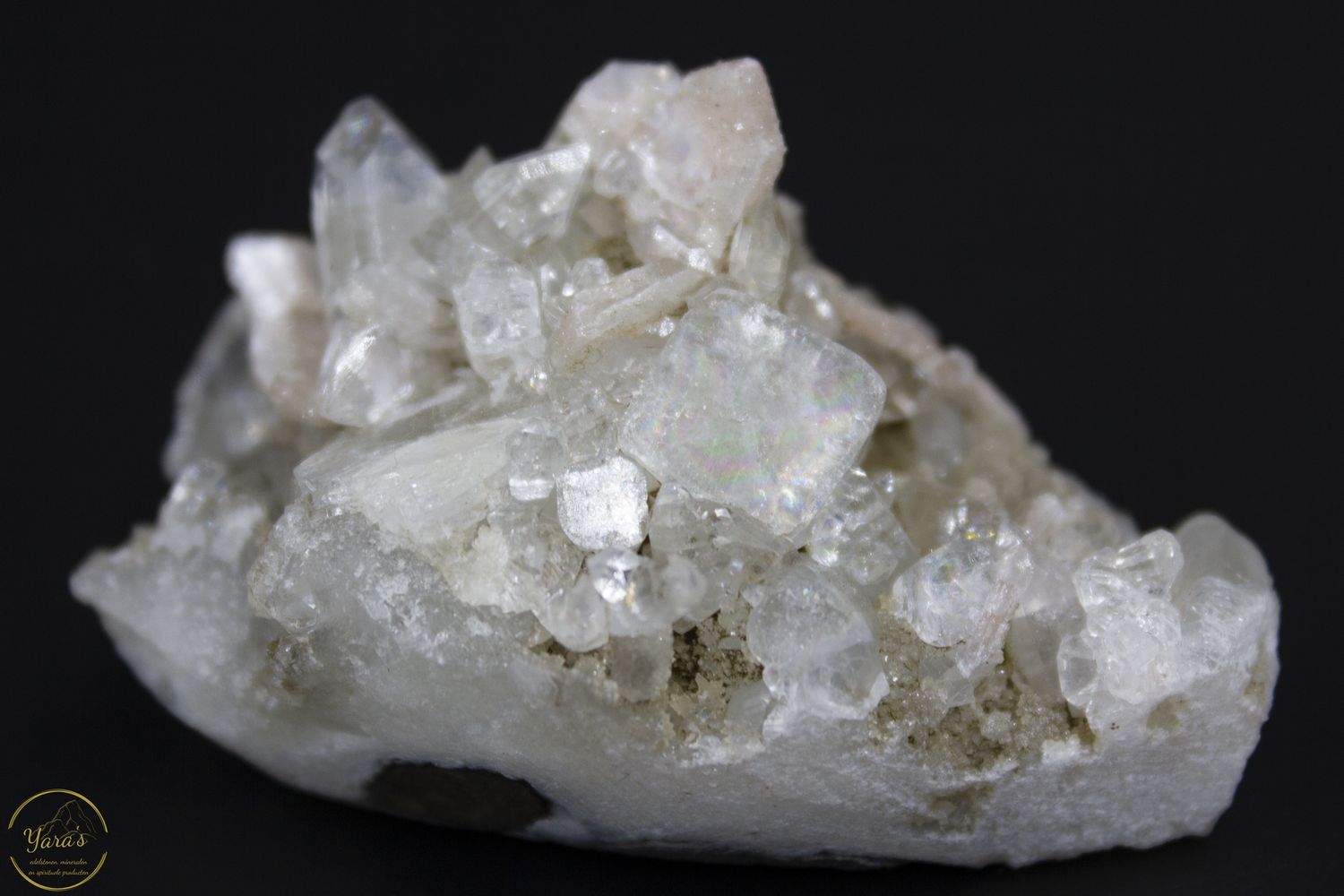 Apofyliet A+  India - 51 gram
