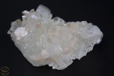 Apofyliet A+  India  -39 gram