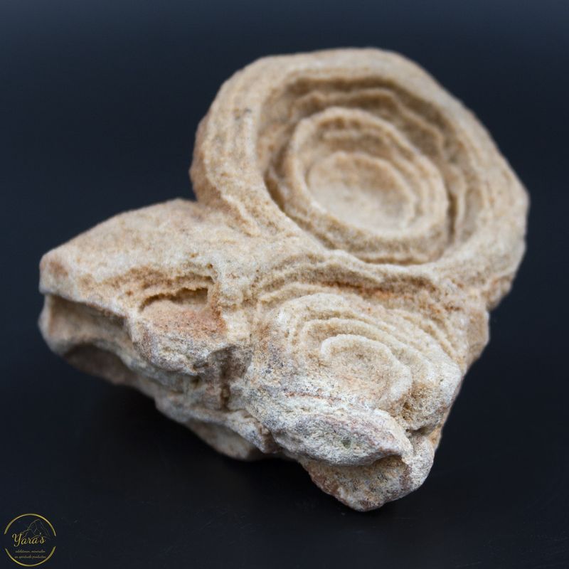 Stromatoliet/woestijnbariet (Marokko) -169 gram