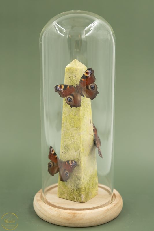 Serpentijn met Aglias io