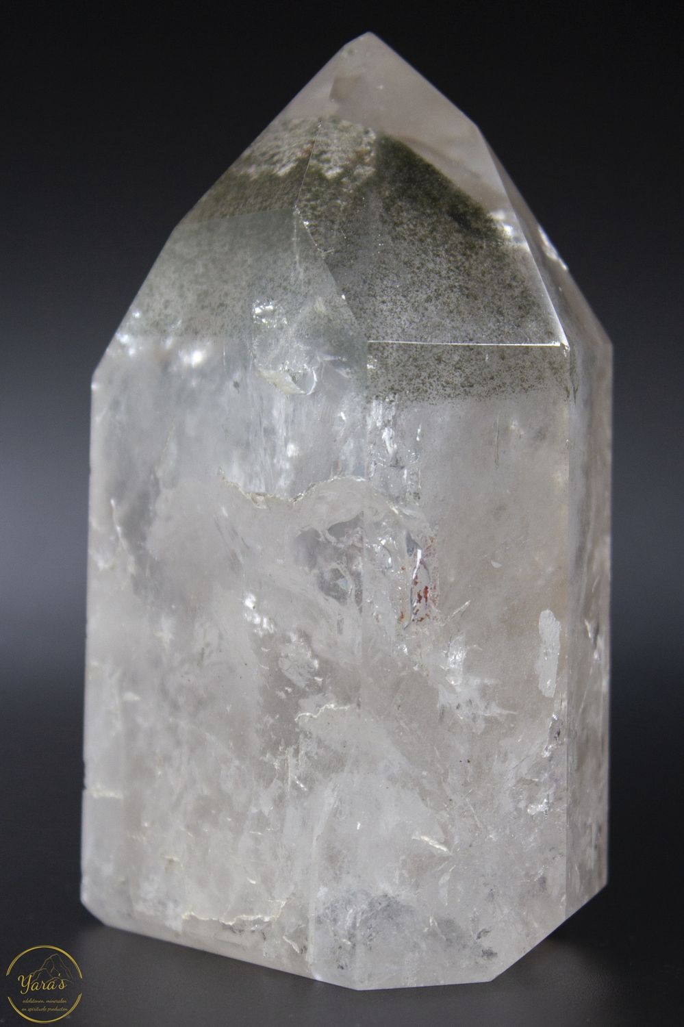 Bergkristal met Lodoliet - 466 gram