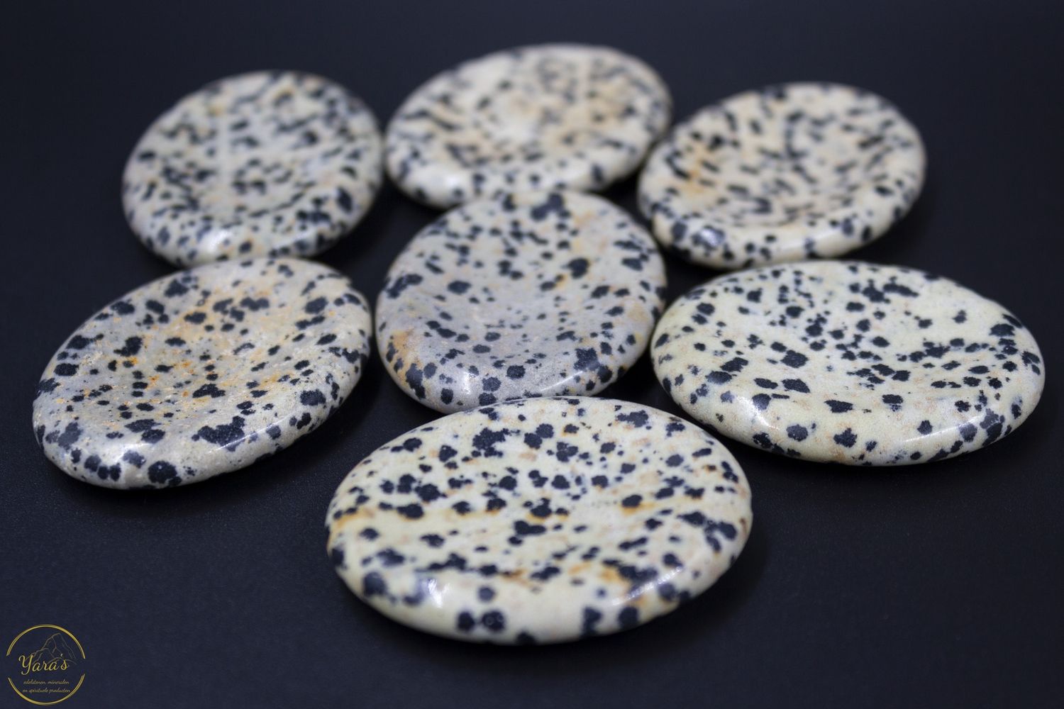 Worry stone Dalmatiër Jaspis
