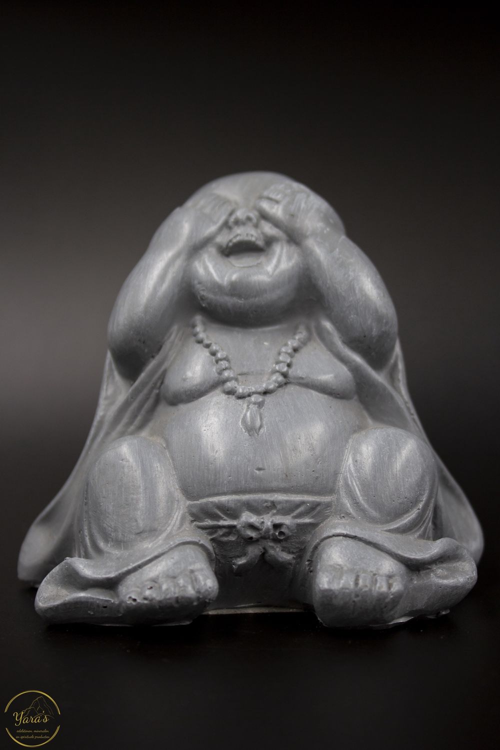 Boeddha Zien