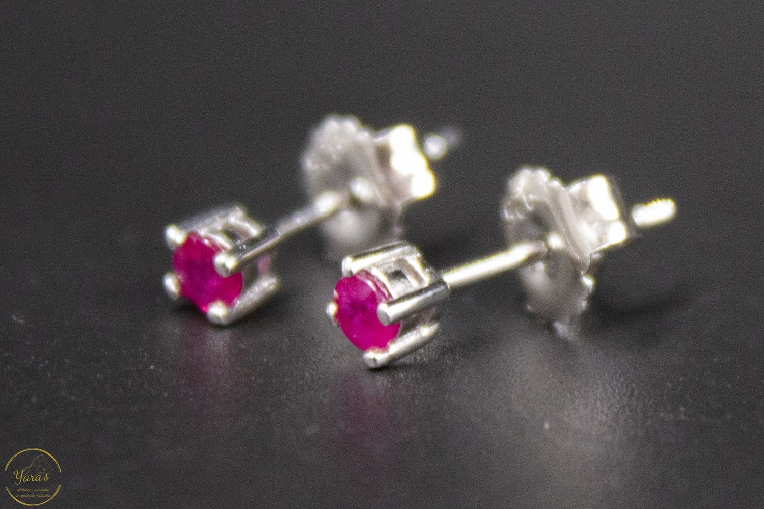 Robijn Studs ZIlver/Rhodium