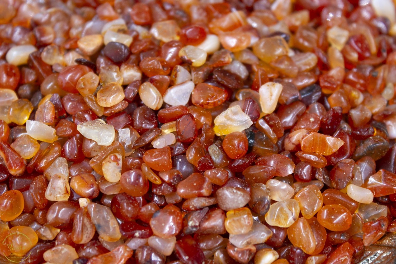 Carneool grit