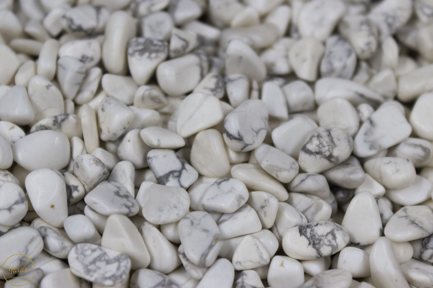 Witte howliet grit