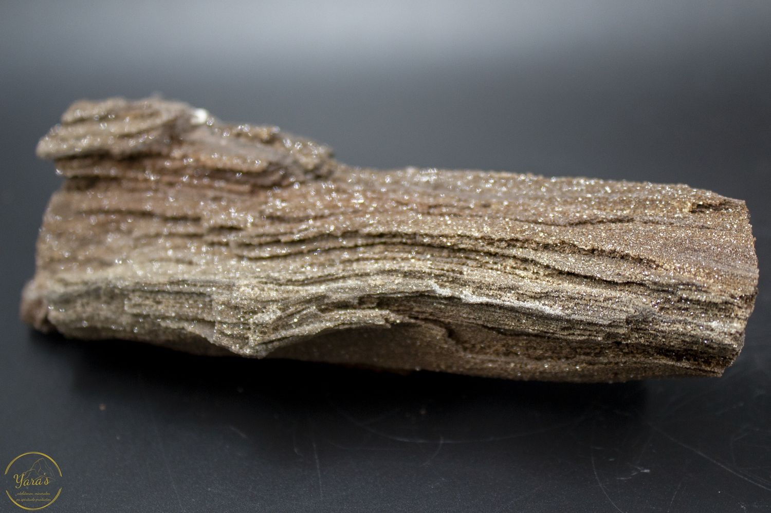 Versteend hout met kristallen -470 gram