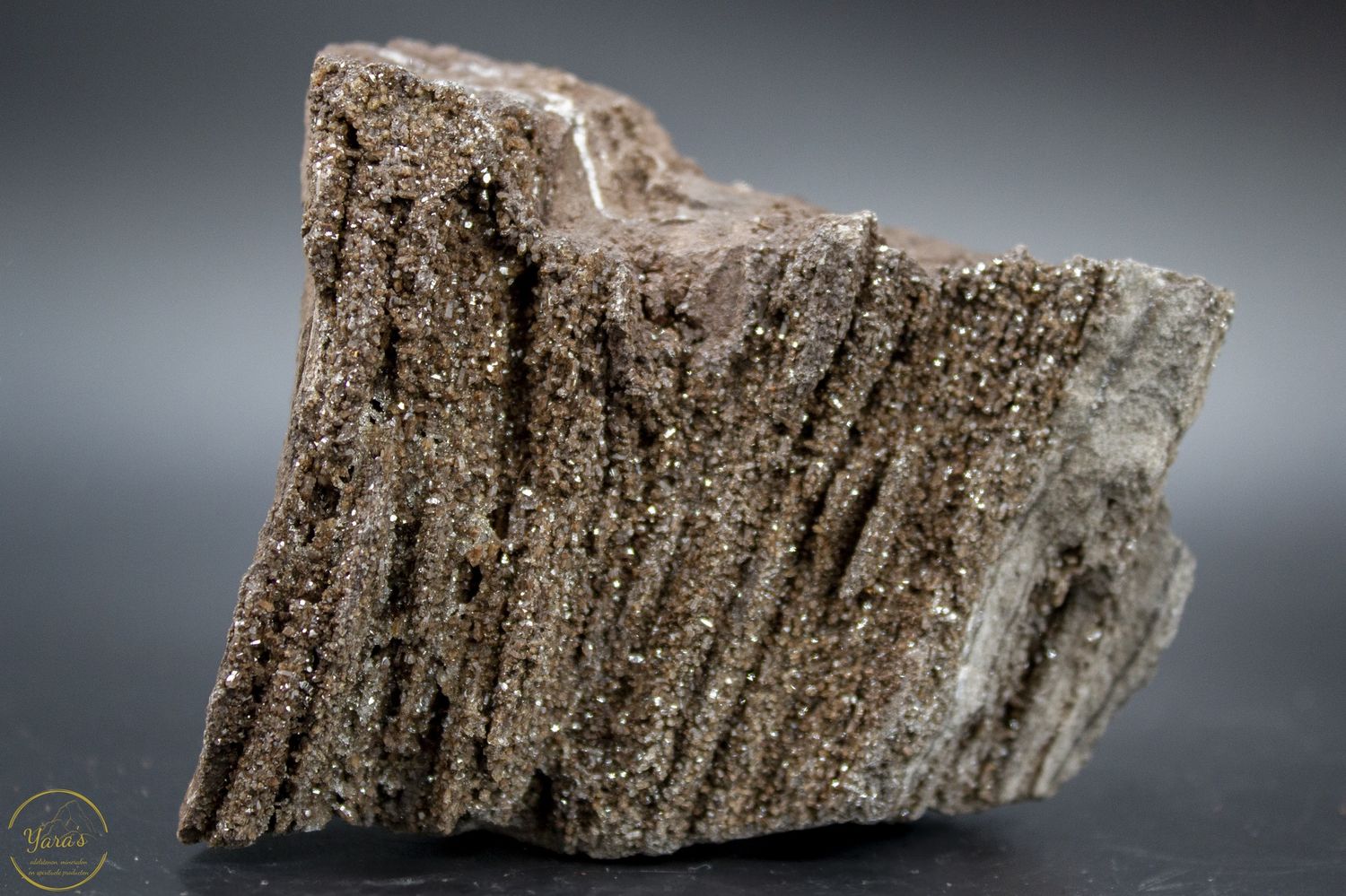 Versteend hout met kristallen -384 gram