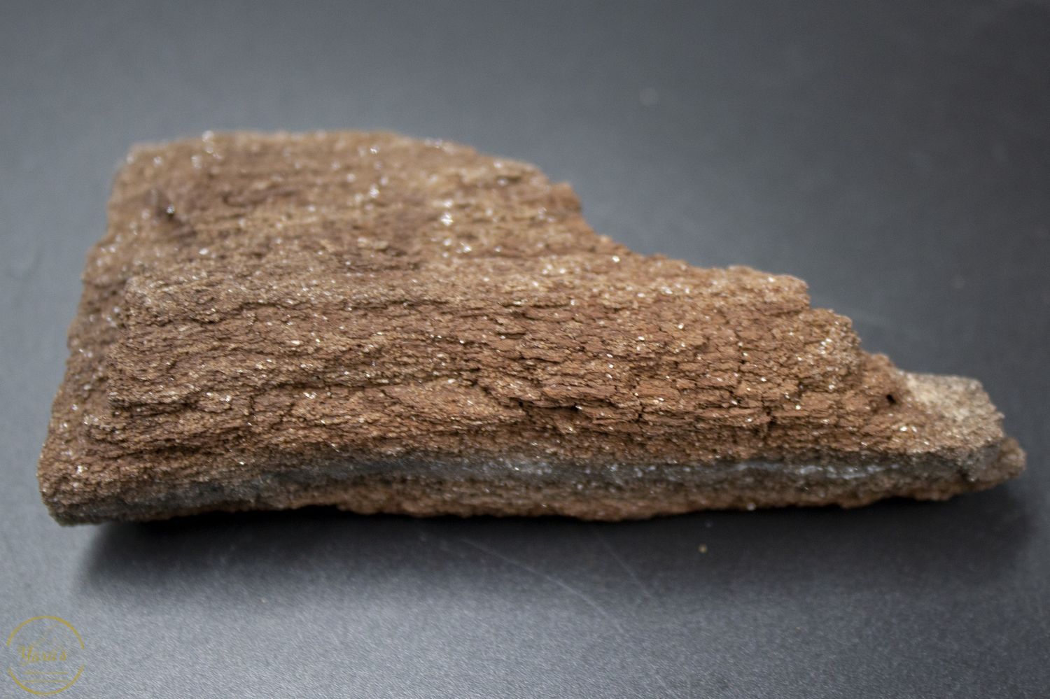 Versteend hout met kristallen -88 gram