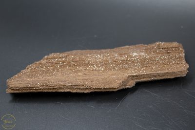 Versteend hout met kristallen -114 gram