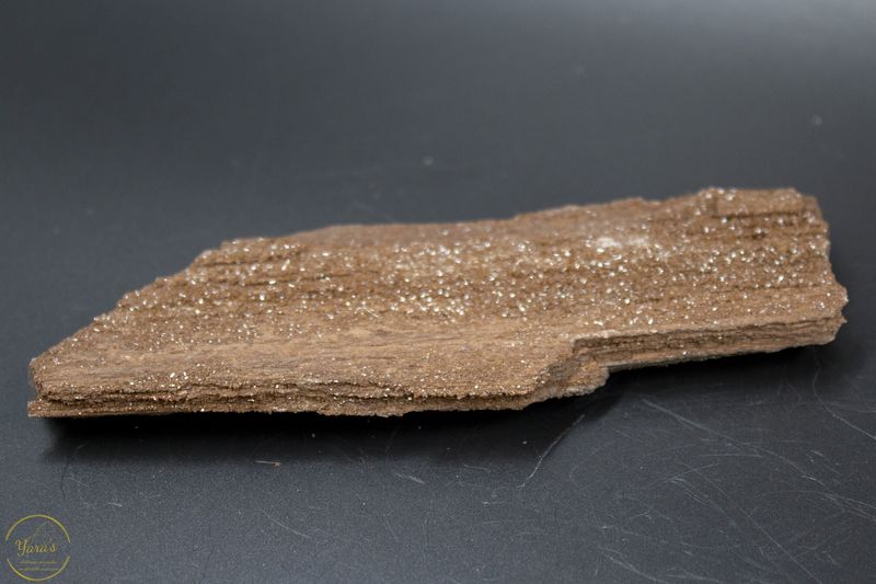 Versteend hout met kristallen -114 gram