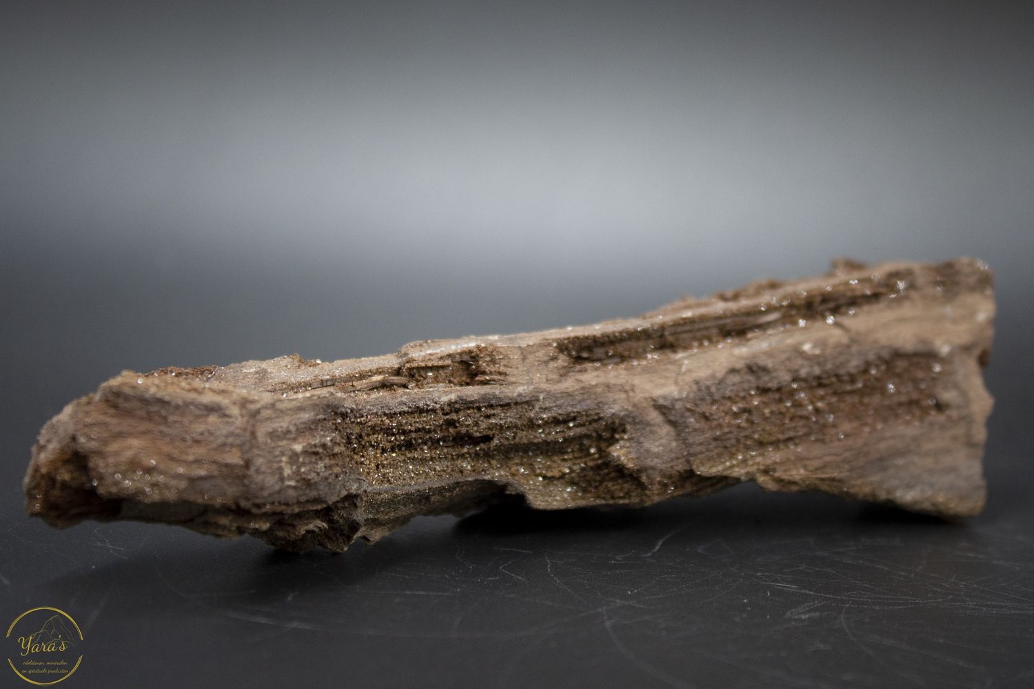 Versteend hout met kristallen -170 gram