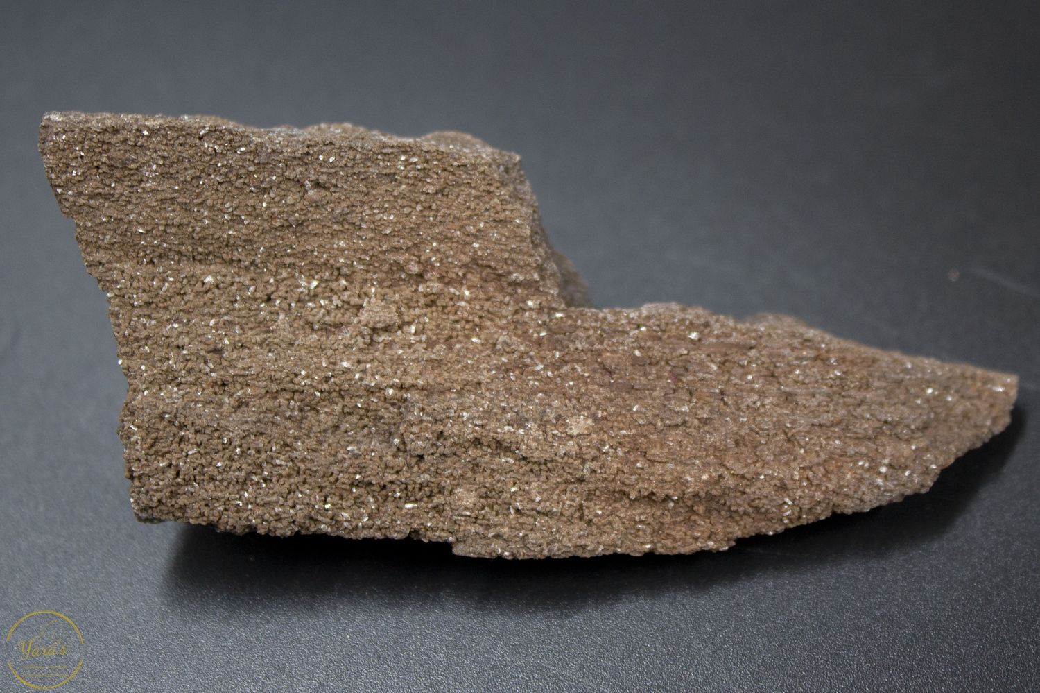 Versteend hout met kristallen -42 gram