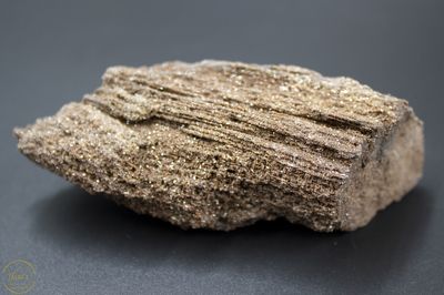 Versteend hout met kristallen -140 gram