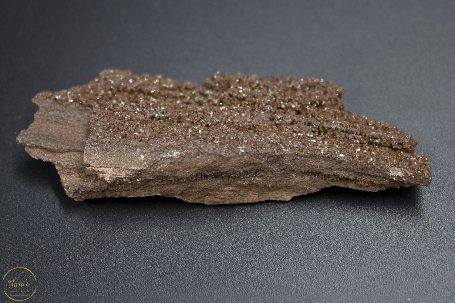 Versteend hout met kristallen -22 gram