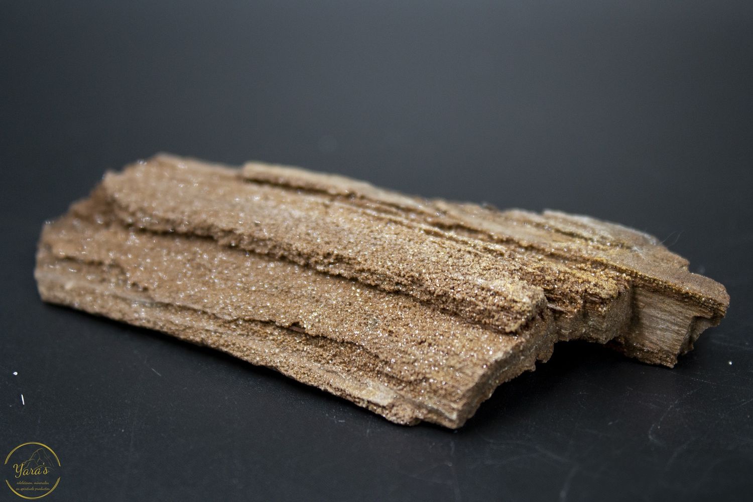 Versteend hout met kristallen -34 gram