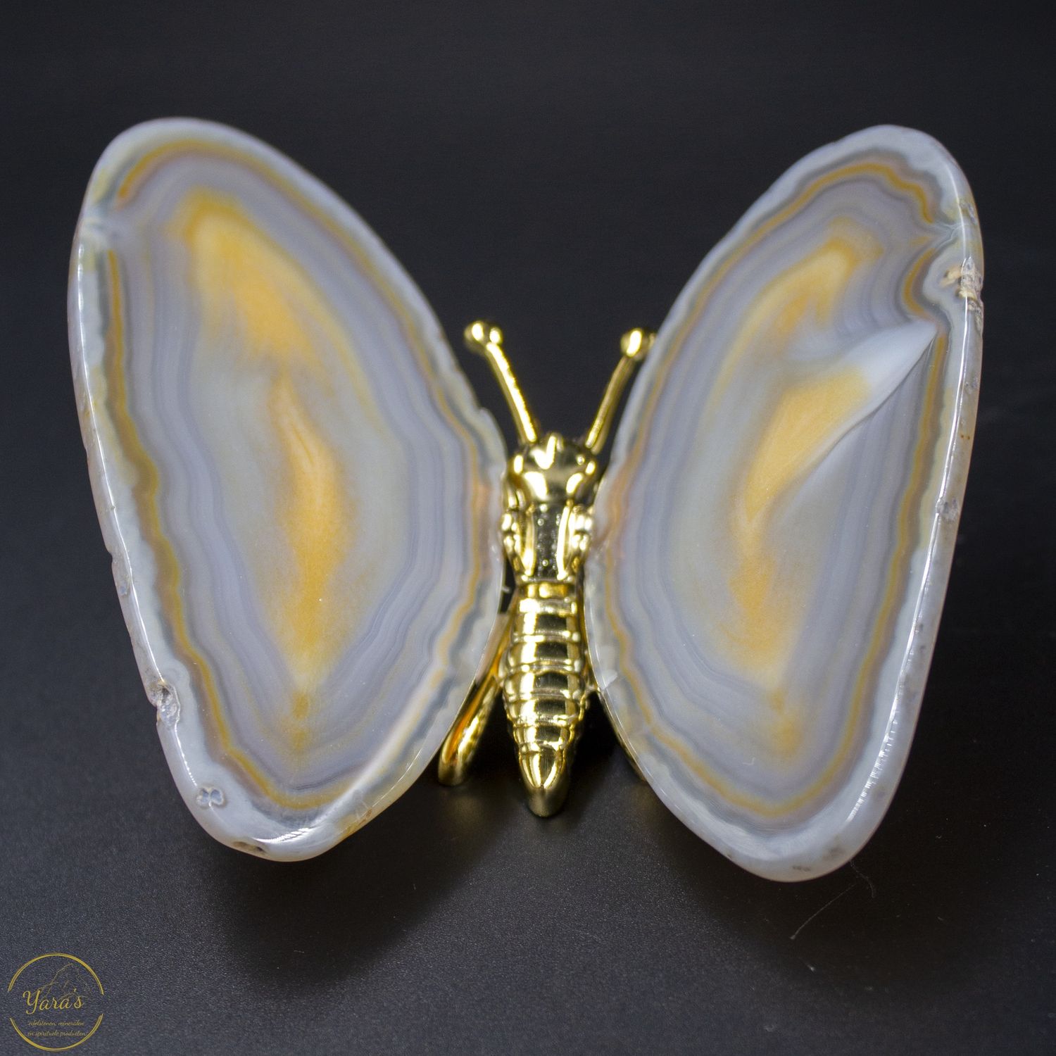 Agaat vlinder goud - 166 gram