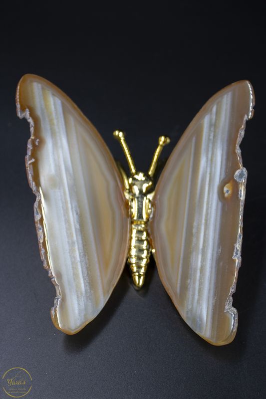 Agaat vlinder goud - 126 gram