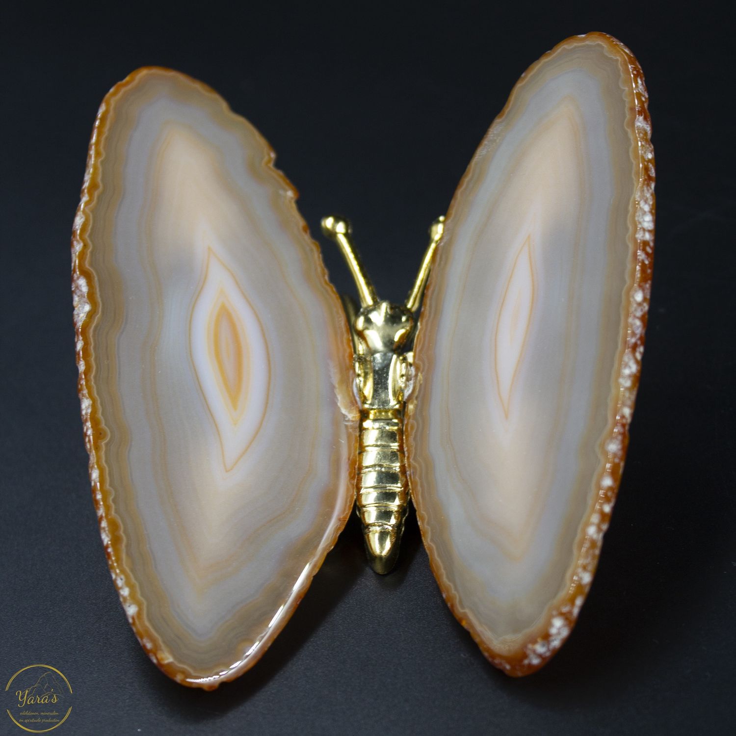 Agaat vlinder goud - 159 gram
