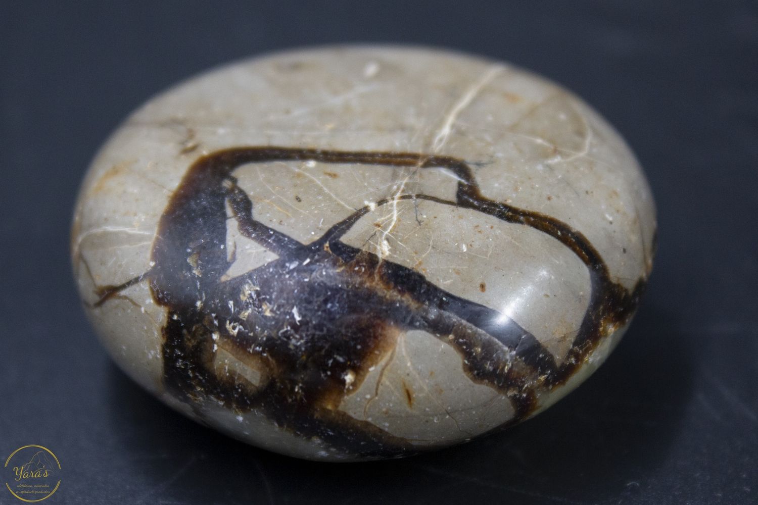 Septarie 78 gram