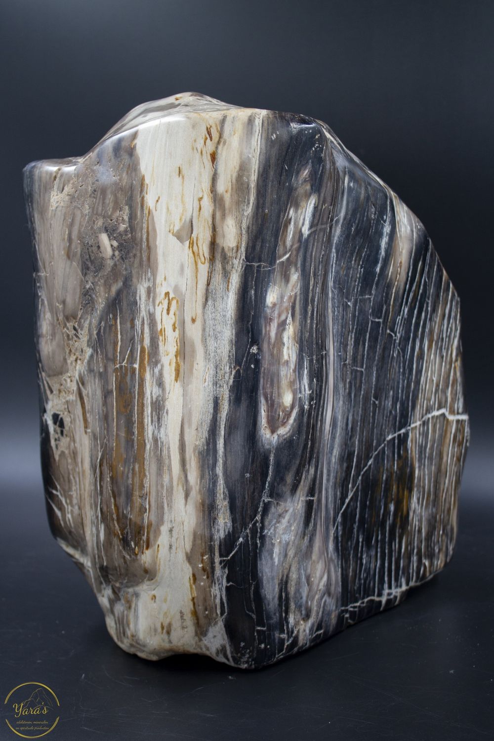 Versteend hout stuk gepolijst - 30.85 kg