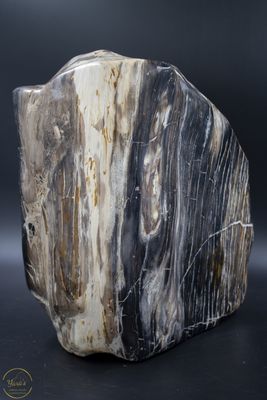 Versteend hout stuk gepolijst - 30.85 kg