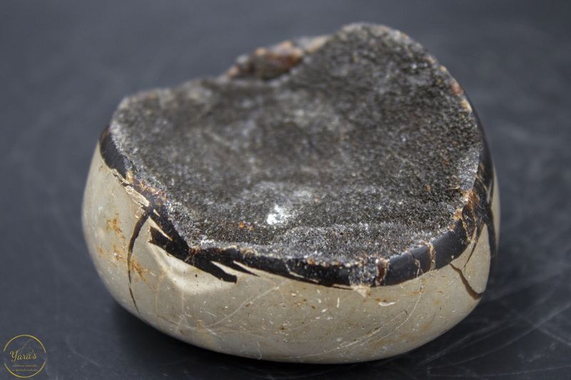 Wilde septarie ei - 168 gram