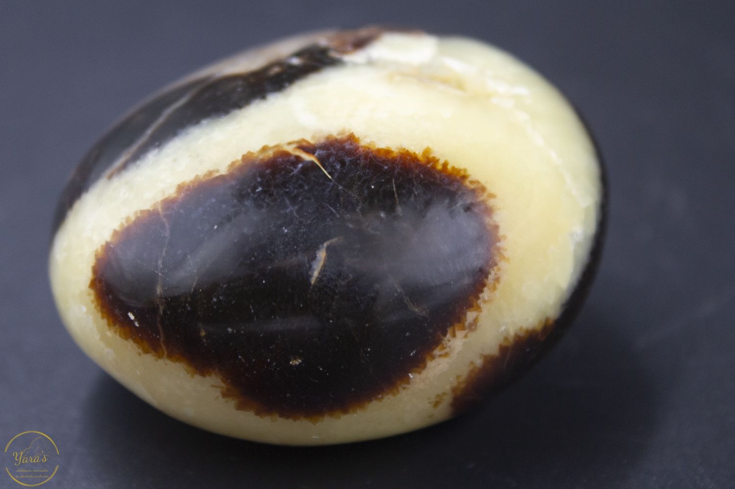 Septarie gepolijst - 133 gram