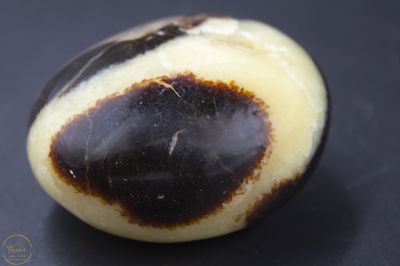 Septarie gepolijst - 133 gram