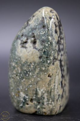 Oceaan Jaspis sculptuur - 183 gram