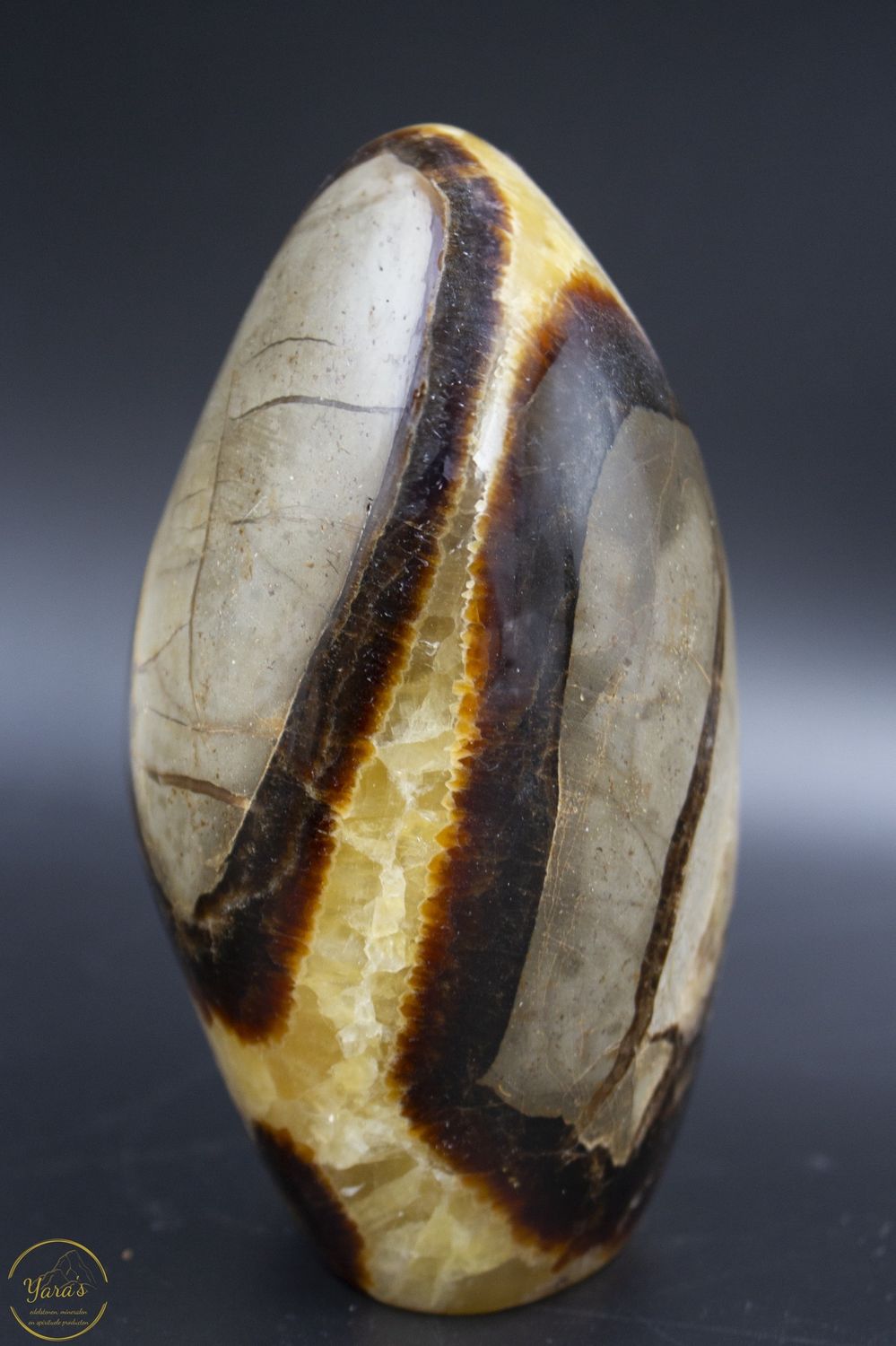 Septarie 997 gram