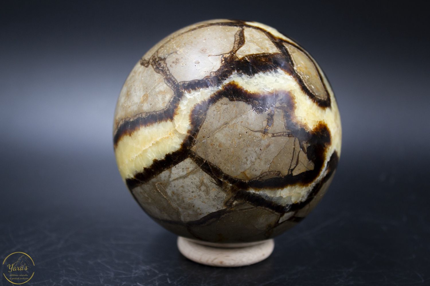 Septarie bol 1.368kg